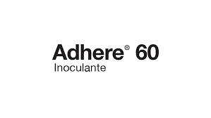 Adhere 60 BE